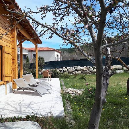 Chalet Mont Canigo Vila Corneilla-de-Conflent Exterior foto