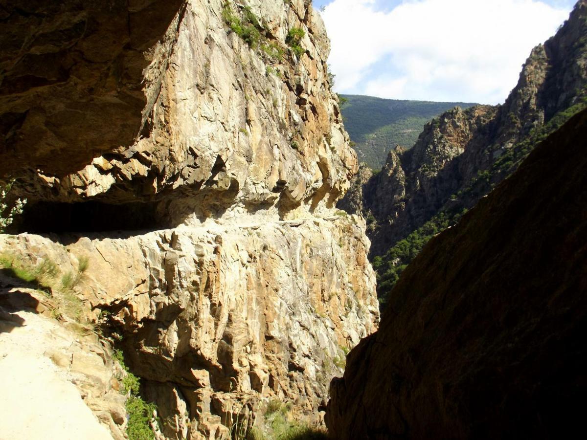 Chalet Mont Canigo Vila Corneilla-de-Conflent Exterior foto