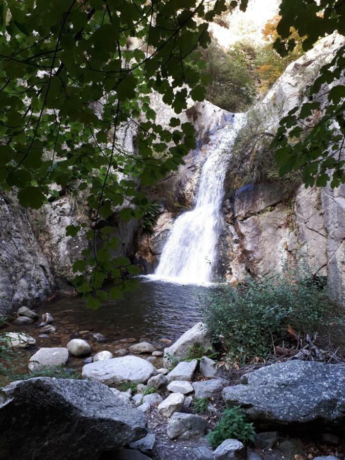 Chalet Mont Canigo Vila Corneilla-de-Conflent Exterior foto