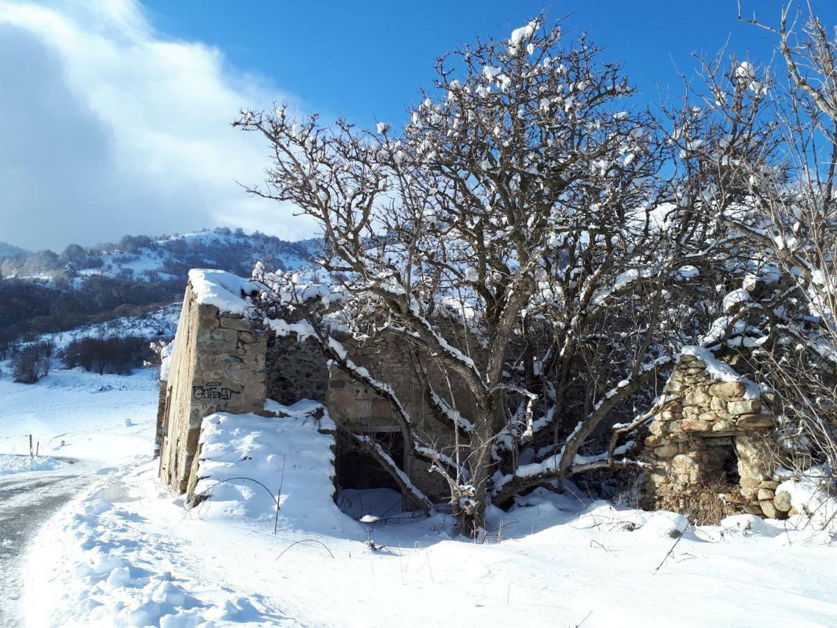 Chalet Mont Canigo Vila Corneilla-de-Conflent Exterior foto